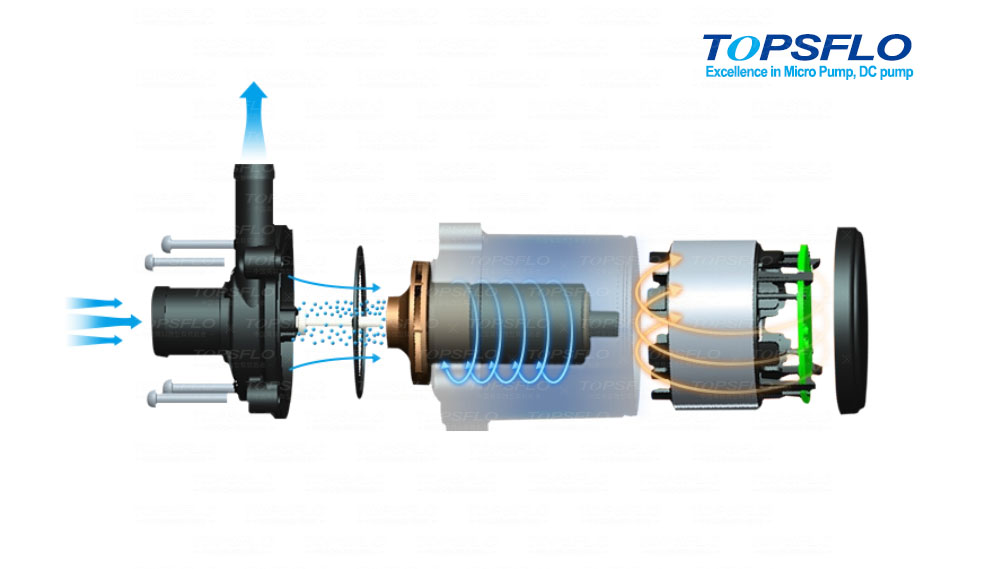 Micro Brushless DC Water Pump Mamufacturer -TOPSFLO High-end Micro DC Pump 