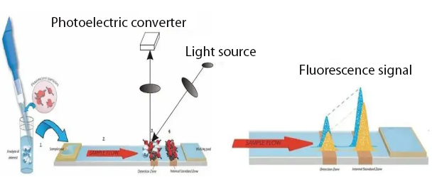 fluorescence immunoassay analyzer pump