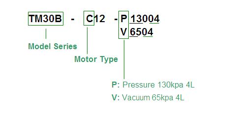 tm30b-c-model-code