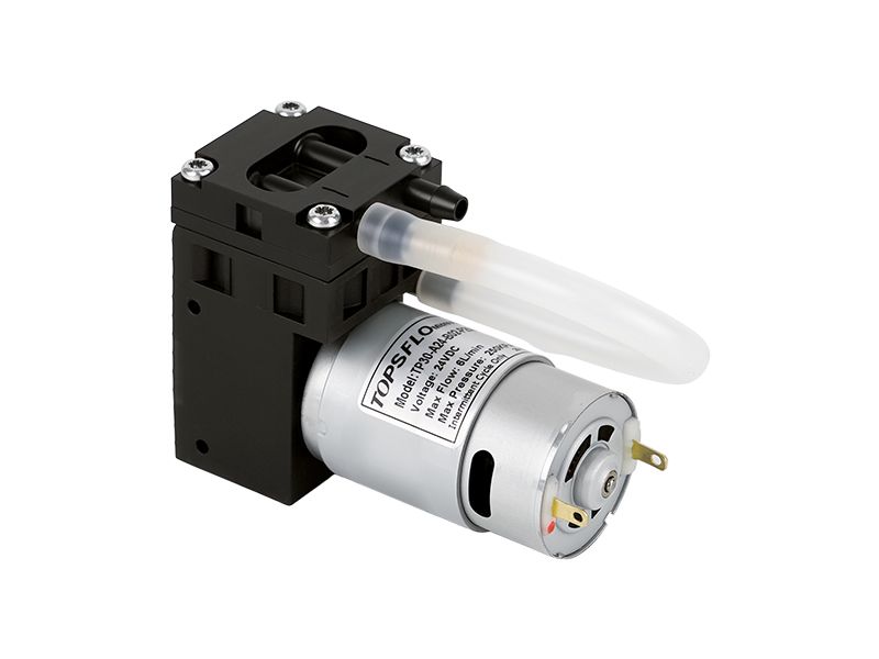 Oil-free Piston Pump