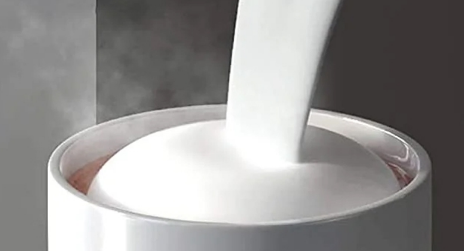 Coffee Machine Milk Froth Pump